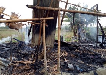 জাগুনত বিধ্বংসী অগ্নিকাণ্ডত ভস্মীভূত বাসগৃহ
