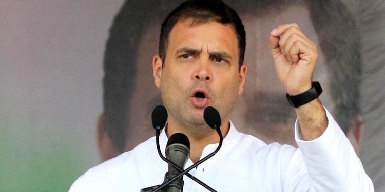 Loksabha election: Won't let Citizenship Bill to pass, Congress chief Rahul Gandhi declares in Assam's Bokakhat