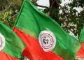 SMSS Flag