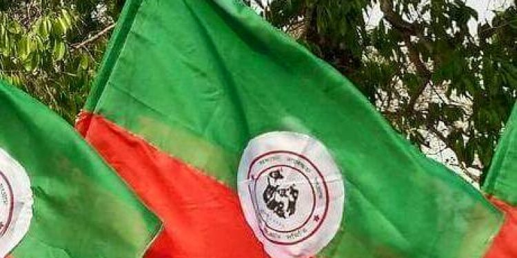 SMSS Flag