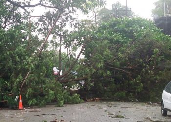 17-04-19 Guwahati- strom hit latashil bihu pandal (11)