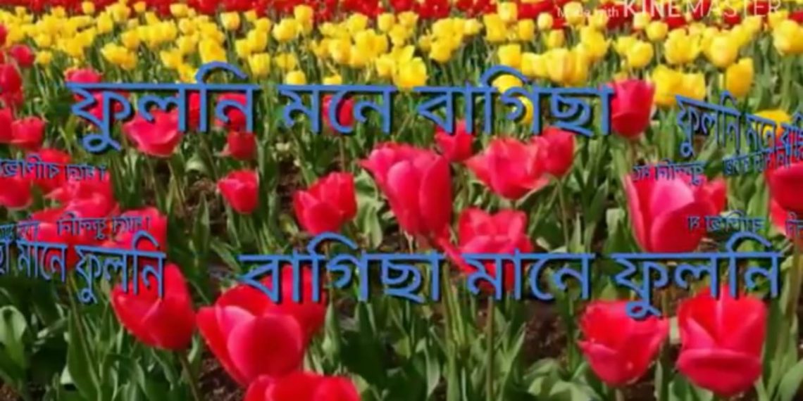 2b4087a8-5fac-4e8f-aacf-3b52b94707a4