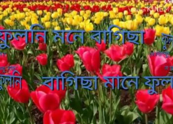 2b4087a8-5fac-4e8f-aacf-3b52b94707a4
