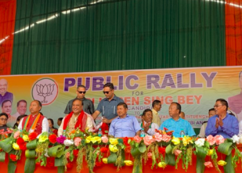 Himanta Biswa