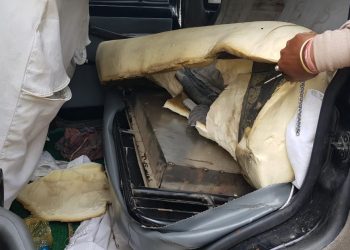 গোলাঘাটত অ’ এন জি চিৰ ফলক লগোৱা গাড়ীত উদ্ধাৰ ৯৫ কেজি গাঞ্জা