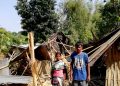 Wild jumbos wrecks house in Assam's Margherita