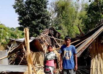 Wild jumbos wrecks house in Assam's Margherita