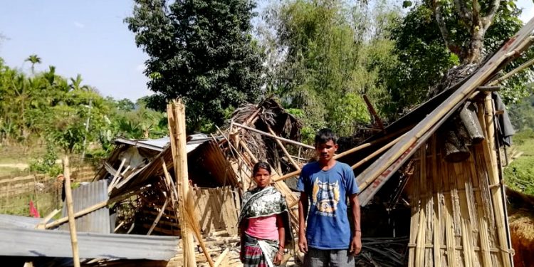 Wild jumbos wrecks house in Assam's Margherita