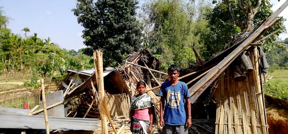 Wild jumbos wrecks house in Assam's Margherita