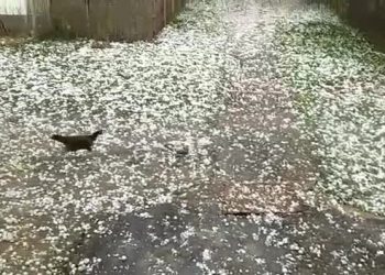hailstorm in Bokakhat