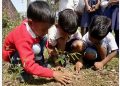 কলিয়াবৰত ‘গছ থাকিলেহে মানুহ থাকিব’ শীৰ্ষক সজাগতা সভাৰ আয়োজন
