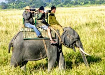 elephant-ride_2