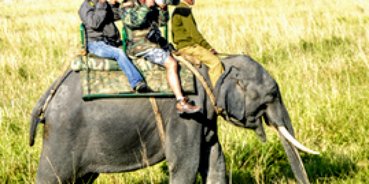 elephant-ride_2