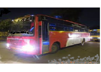 night super bus