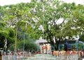 Flag hoisting ceremony during celebrate Phaat Bihu at Dhakuakhana on 10-05-19, the most famous and historic Bihu of the greater area at Mohghuli Chapari from today .pix by ub photos