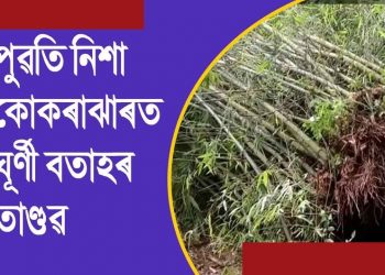 কোকৰাঝাৰত পুৱতি নিশা প্ৰৱল বেগেৰে অহা ঘূৰ্ণী বতাহ, শিলাবৃষ্টিত ক্ষতিগ্ৰস্ত বহুতো গাঁও