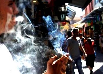 AssamTobaccouse