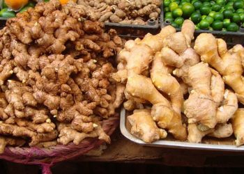Ginger_in_China_01-780x405