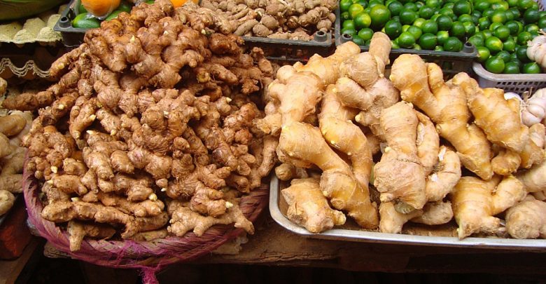 Ginger_in_China_01-780x405