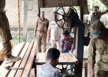 Smuggled timber, mill seized at Nagaon's Samaguri in Assam