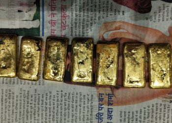 Gold Biscuit