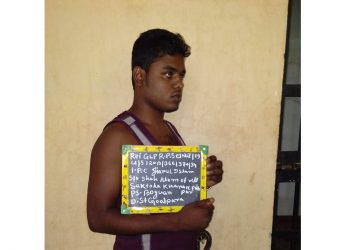 Jiarul