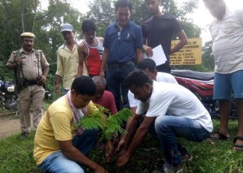 ‘ৰেচকিউ’ৰ উদ্যোগত শিৱসাগৰত বৃক্ষ ৰোপন কাৰ্যসূচী