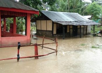 Flood in Assam's Bokakhat