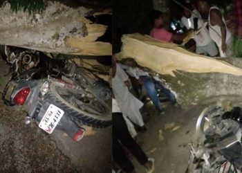 শিৱসাগৰত ধুমুহাৰ তাণ্ডৱ : গছ পৰি গুৰুতৰভাৱে আহত দুই বাইক আৰোহী
