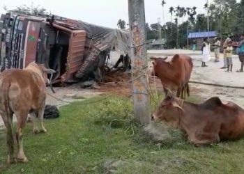 road accident