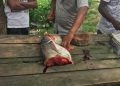 মাছ ধৰাত নিষেধাজ্ঞা : বাংলাদেশ কঠোৰ হোৱাৰ বিপৰীতে অসমত ফাইলতে সীমাবদ্ধ নিৰ্দেশনা