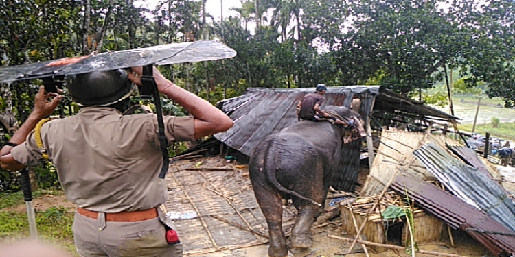 Cachar