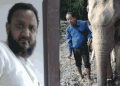 Unanswered questions on Assam’s elephant transport debate