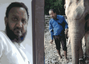 Unanswered questions on Assam’s elephant transport debate