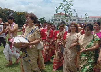 Gos Bihu