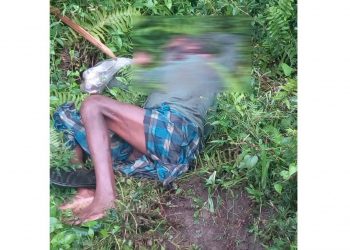 ডিগবৈত বনৰীয়া হাতীৰ আক্ৰমণত দুজন লোকৰ মৃত্যু