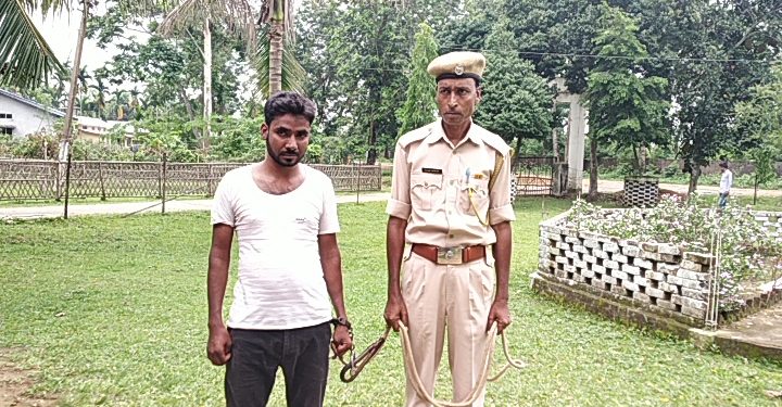 ফটো : নৰ্থ-ইষ্ট নাও