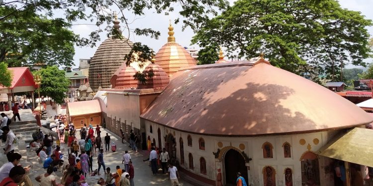 Kamakhya Ambubachi mela: Saints coming