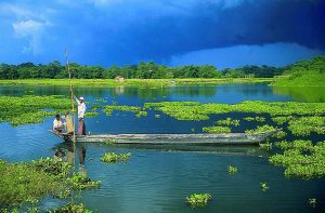 MAJULI