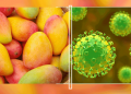 Nipah-Virus-Alert