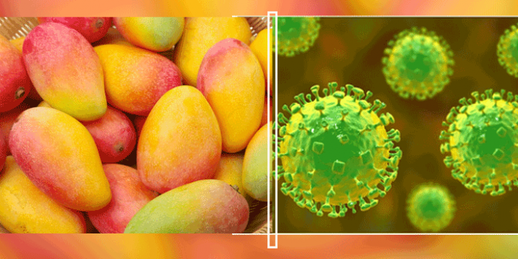 Nipah-Virus-Alert