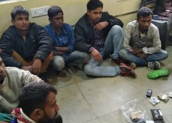 cattle-smugglers-1140x570