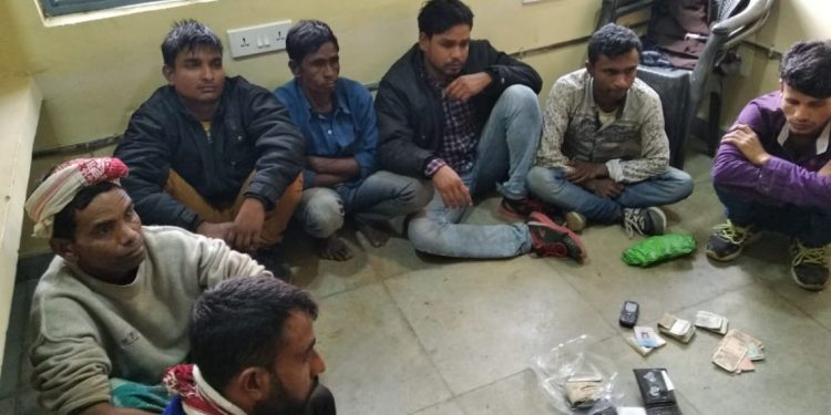 cattle-smugglers-1140x570