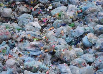 plastic bag may be band in Asam