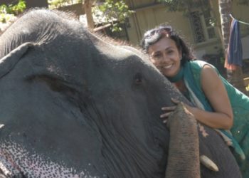 sangita_iyer_resizedInstant writ-petition filed in Gauhati High Court to prevent journey of 4 elephants to Ahmedabad
