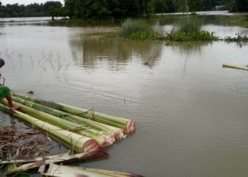 flood in Kaziranga