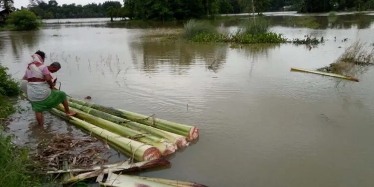 flood in Kaziranga