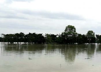 বঙাইগাঁৱত প্ৰলয়ংকাৰী বানৰ কবলত অৰ্ধশতাধিক গাঁও; দেখা দিছে খাদ্য সংকটে, সাহায্যৰ বাবে চৰকাৰক অনুৰোধ