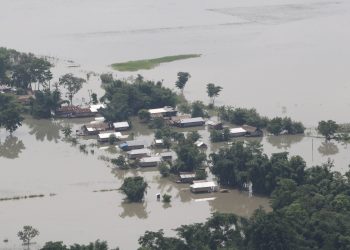 তামুলপুৰত এতিয়াও ১৩০ টা পৰিয়াল বানৰ কবলত; পোৱা নাই কোনো সাহায্য