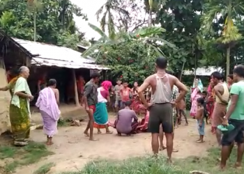 হোজাইত বনৰীয়া হাতীৰ আক্ৰমণত এজন লোকৰ মৃত্যু